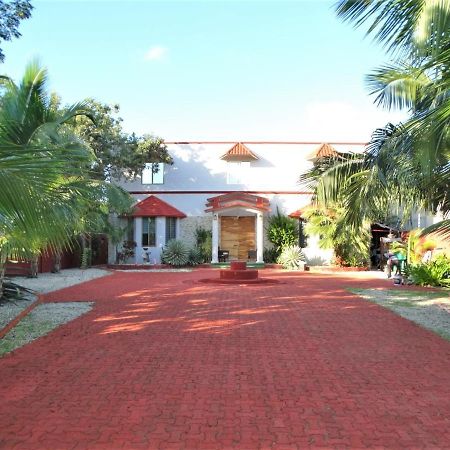 Villa Oasis Cancun Airport Exterior foto